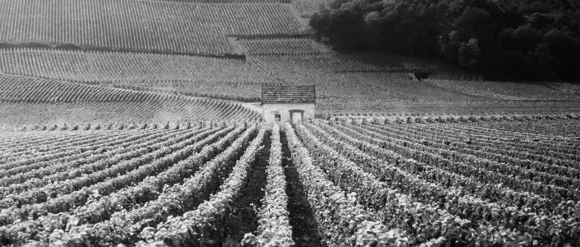 burgund fine wine header 2023