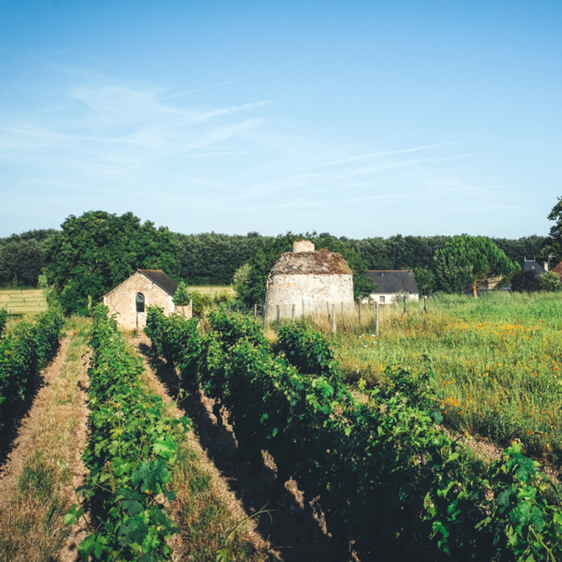 chateau fosse seche landschaft
