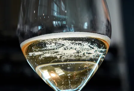 Nahaufnahme eines Champagnerglases mit sprudelndem Sekt vor unscharfem Hintergrund.