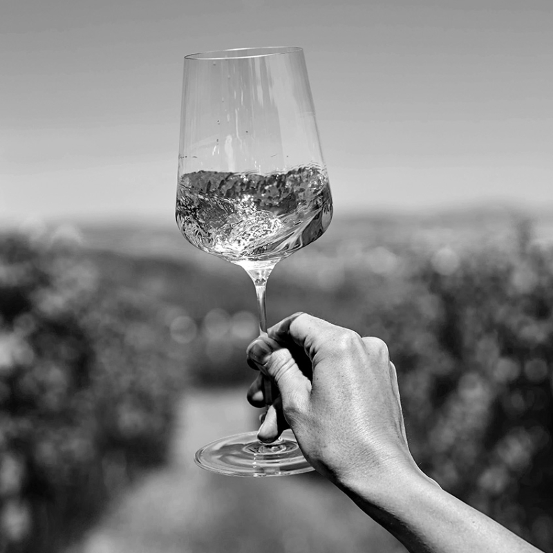 duell fine wine