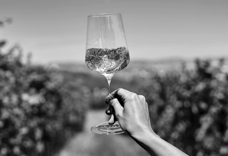 duell fine wine