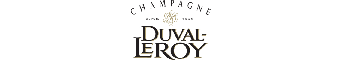 duval logo 2000x350