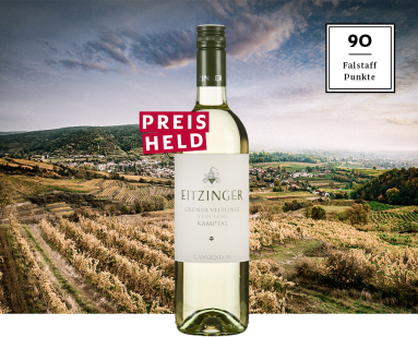 Weinflasche vor malerischer Weinberglanschaft mit bewölktem Himmel im Hintergrund.