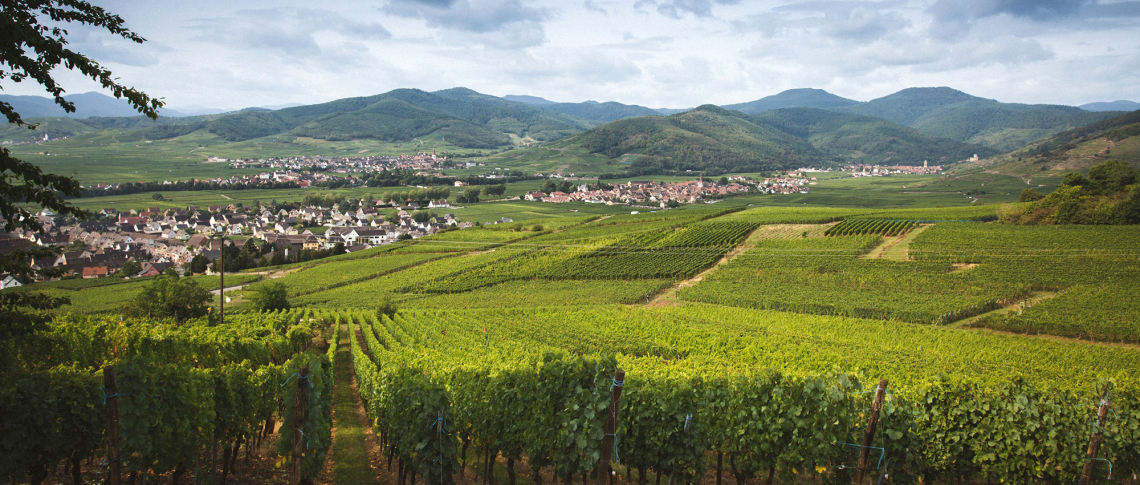 elsass entstaubt header