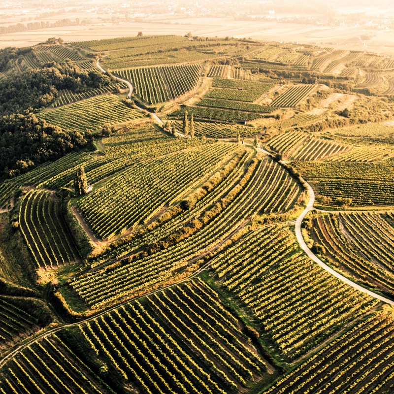 erste lage kamptal gaisberg zoebing 2000x1000 lp