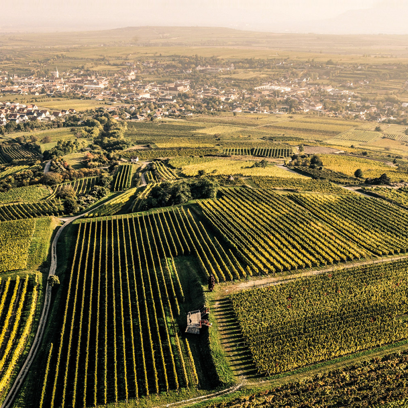 erste lage kamptal kaeferberg 2000x1000 lp