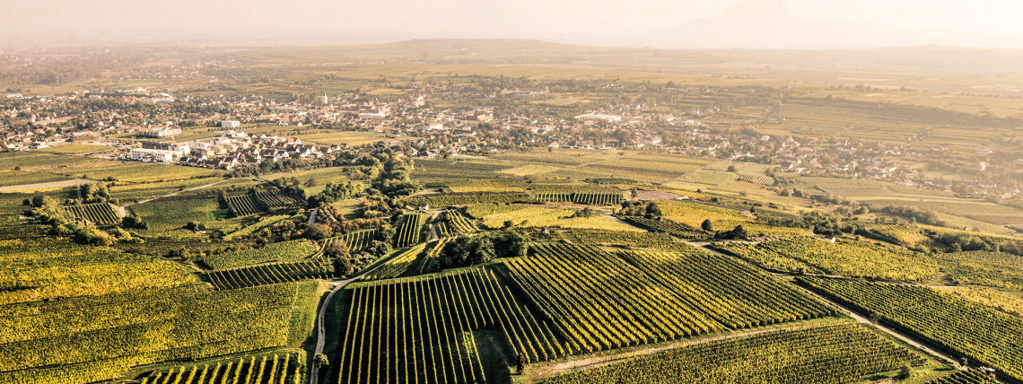 Weite, grüne Weinberge und ein Dorf im Hintergrund bei Sonnenuntergang.