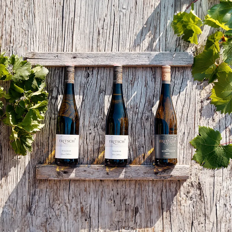 fritsch sortiment 2024