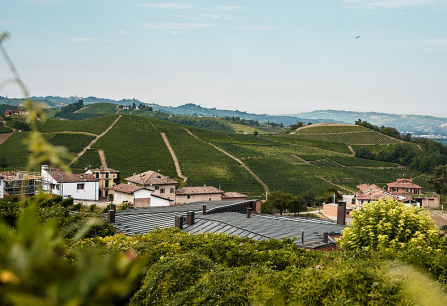 Hügelige Weinberge und Dörfer bei klarem Himmel.