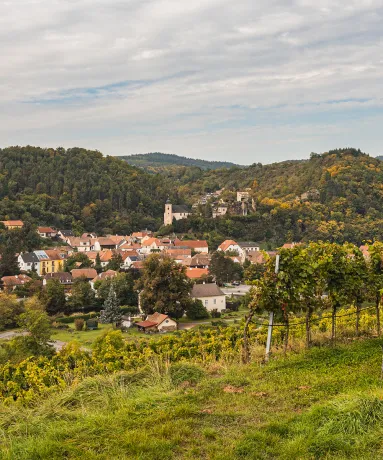Malerisches Dorf in hügeliger Landschaft mit Weinbergen und Wäldern im Hintergrund.