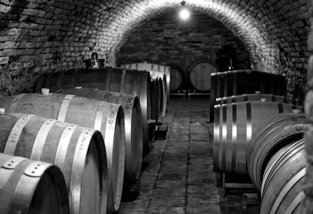 oesterreich fine wine header 2023