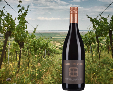 pinot vom sonnberg Braunstein