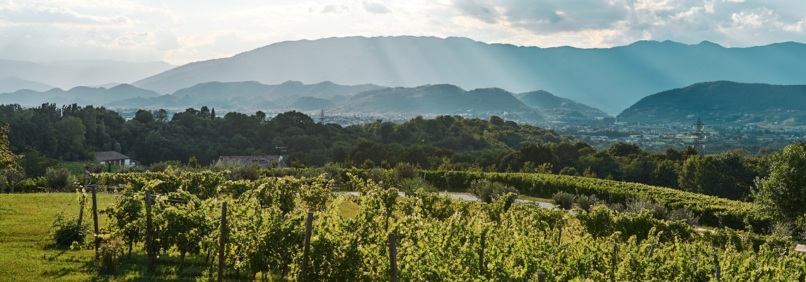 prosecco prickelndes italien ausblick