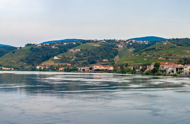 rhone condrieu