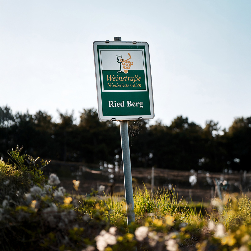 ried berg