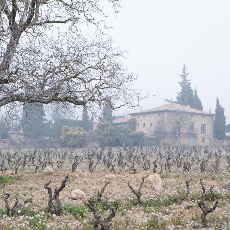 rioja Remelluri