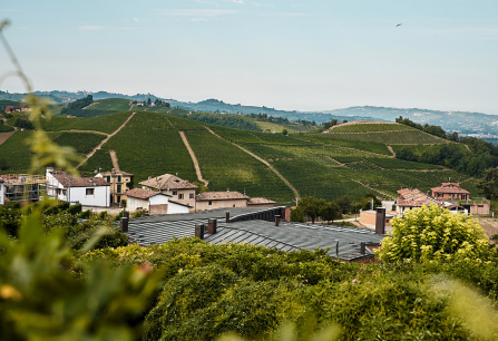 rotwein italien teaser