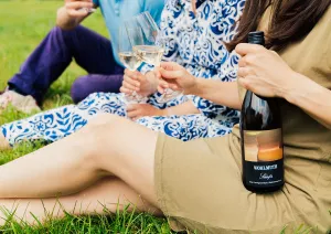 Personen im Freien, genießen Wein auf einer Wiese, sommerliche Kleidung.