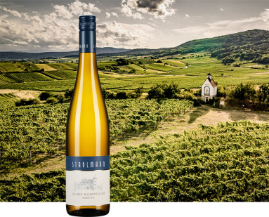 Weinflasche vor einer malerischen Landschaft mit grünen Weinbergen und kleinem Haus.
