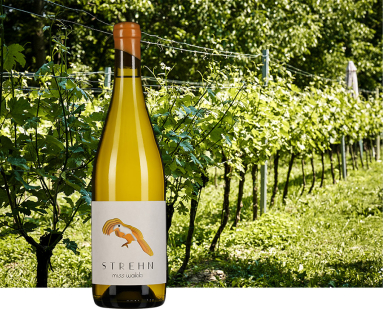 Gelbe Weinflasche mit Vogel-Logo vor grünem Weinberg.