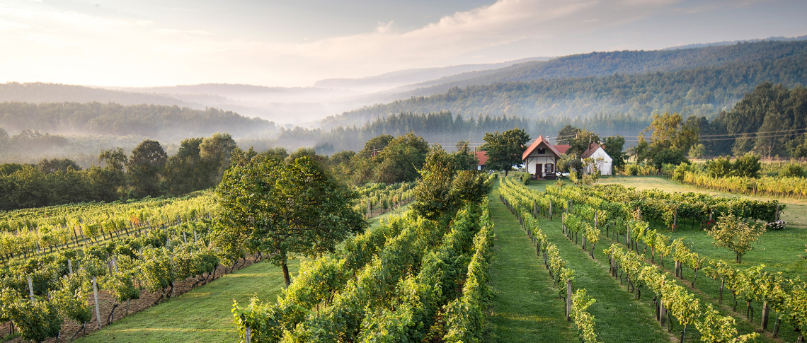 suedburgenland header