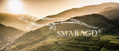 wachau smaragd