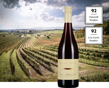Weinflasche vor malerischer Weinbergkulisse mit bewölktem Himmel.