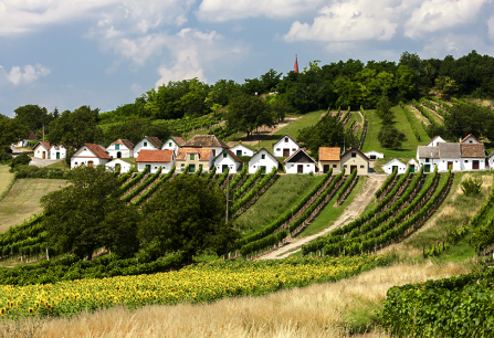 weinviertel