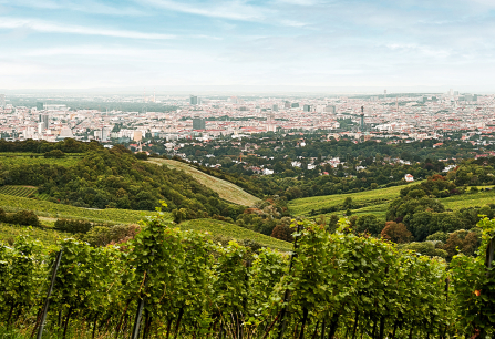 wiener gemischter satz dac