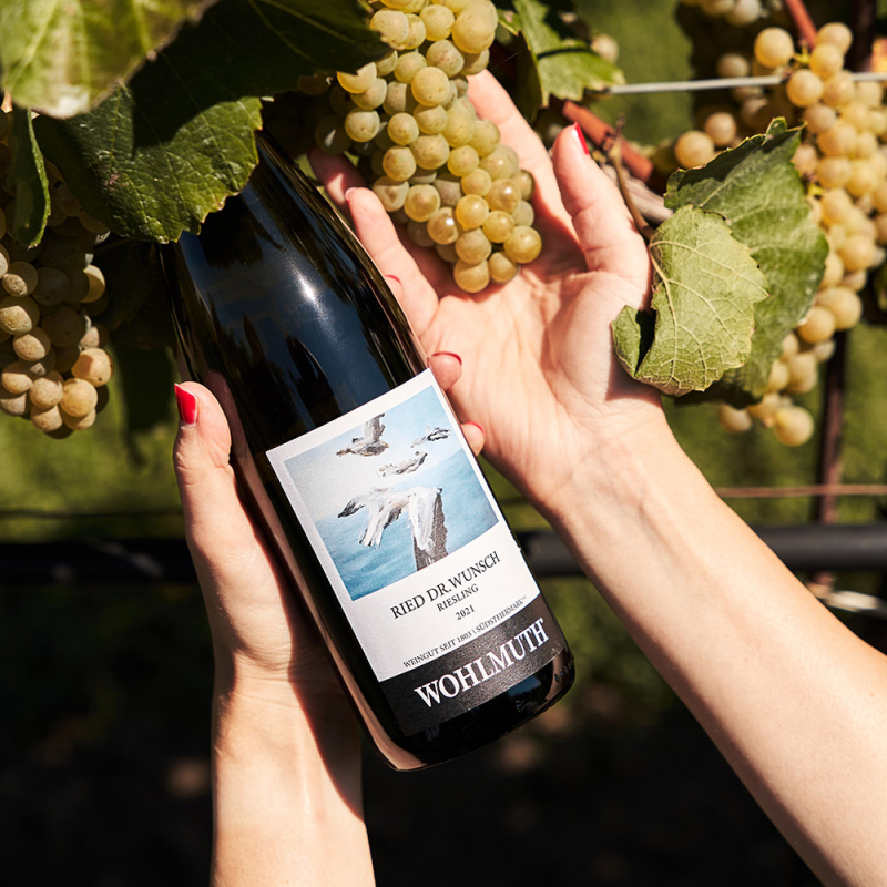 wohlmuth ried dr wunsch riesling