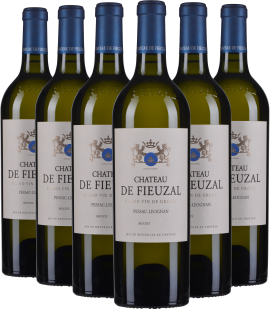 Sechserpack grünlicher Weinflaschen mit blauen Kapseln und verziertem Etikett.