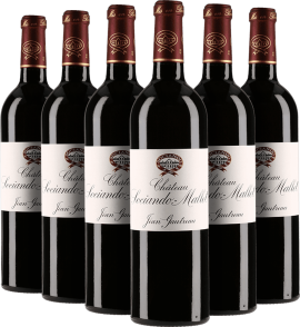 Sechs Rotweinflaschen mit dunkelrotem Etikett und elegantem Schriftzug nebeneinander.