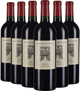 Sechs Bordeaux-Weinflaschen mit roten Kapseln und beigem Etikett in einer Reihe.