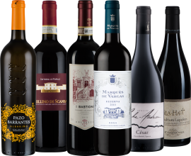 Sechs Flaschen Wein mit elegant gestalteten Etiketten in verschiedenen Farben.