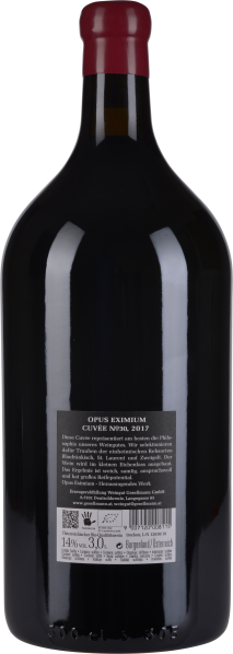 Große, dunkle Weinflasche mit rotem Wachssiegel auf der Flaschenschulter.