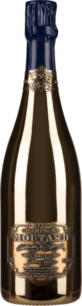 Goldene Champagnerflasche mit blauem Hals und edlem Etikett.