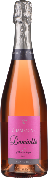 Flasche Rosé-Champagner mit silberner Folie und pinkem Etikett, elegant und hochwertig.