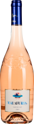 50006876.2023