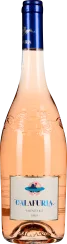 50006876.2023