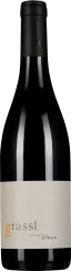 50006904