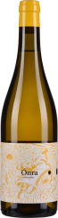 50007023