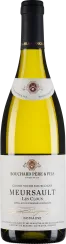 50007745