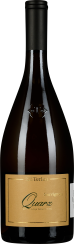50007869