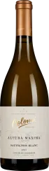50007881.2021