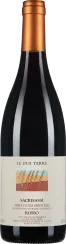 50008231