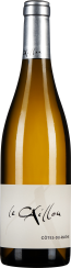 50008568
