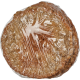 50008584 3