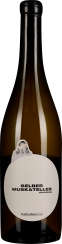 50009615.2023