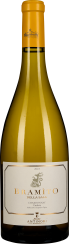50009870.2023