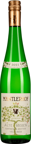 50009892.2022